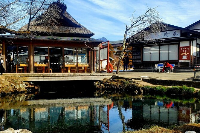 Mount Fuji and Hakone Private Tour from Tokyo (Customizable) - Hakone Ropeway over volcanic terrain
