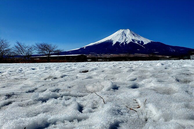 Mount Fuji and Hakone Private Tour from Tokyo (Customizable) - Lake Ashi and the optional pirate cruise