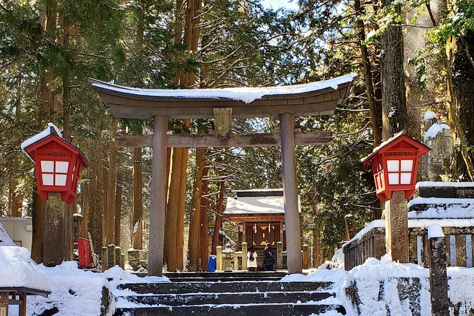Mount Fuji and Hakone Private Tour from Tokyo (Customizable) - What the guide service adds, and what to confirm