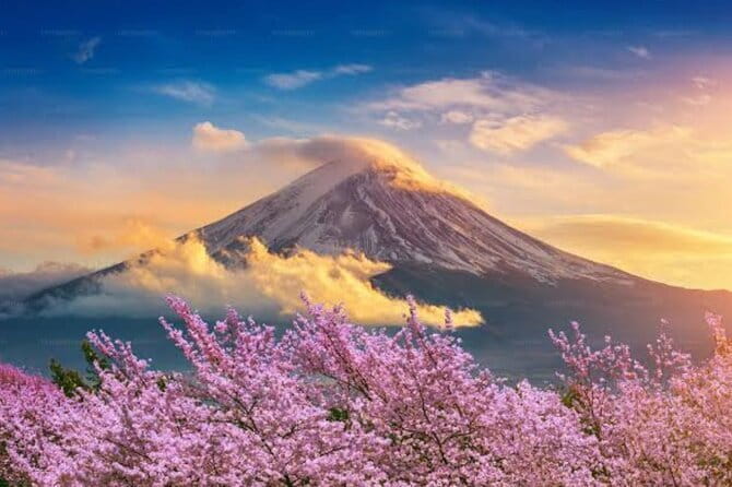 Mount Fuji and Hakone Private Tour with Pickup from Tokyo - Hakone Ropeway over volcanic Owakudani