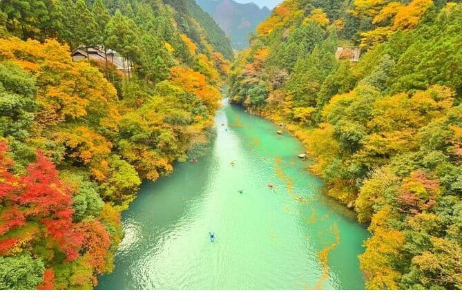 Mount Fuji and Hakone Private Tour with Pickup from Tokyo - Owakudani Valley and the famous black eggs