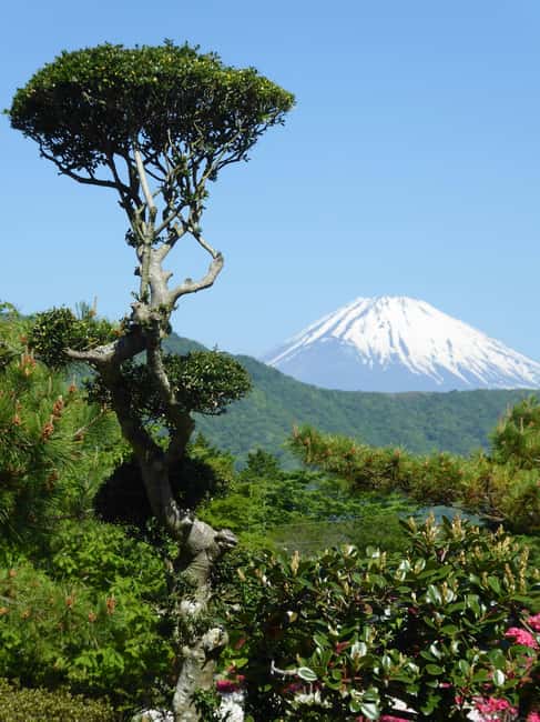 Mount Fuji: Customizable Private Tour By Car With Pickup - Oshino Hakkai and the water of Mount Fuji