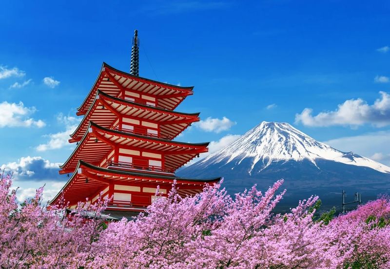Mount Fuji Day Trip: Includes Kawaguchiko Tenjozan Park Ropeway Ticket & Arakurayama Sengen Park & Nichikawa Clock Shop & Lawson Convenience Store & Oishi Park (Departing from Tokyo) - Setting out from Tokyo before the roads fill