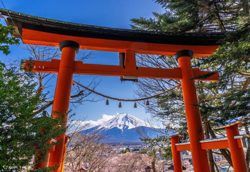 Mount Fuji Day Trip: Includes Kawaguchiko Tenjozan Park Ropeway Ticket & Arakurayama Sengen Park & Nichikawa Clock Shop & Lawson Convenience Store & Oishi Park (Departing from Tokyo) - Reading the route details carefully