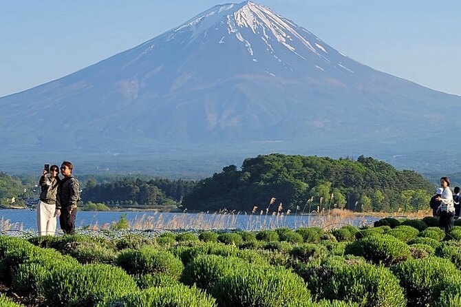 Mount Fuji Full Day Customized Private Tour with English Guide - Arakurayama Sengen Park and Chureito Pagoda