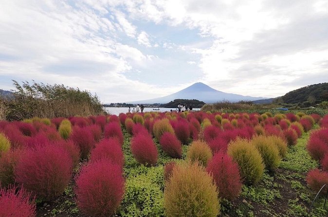 Mount Fuji Full Day Customized Private Tour with English Guide - Narusawa Ice Cave is the unexpected highlight