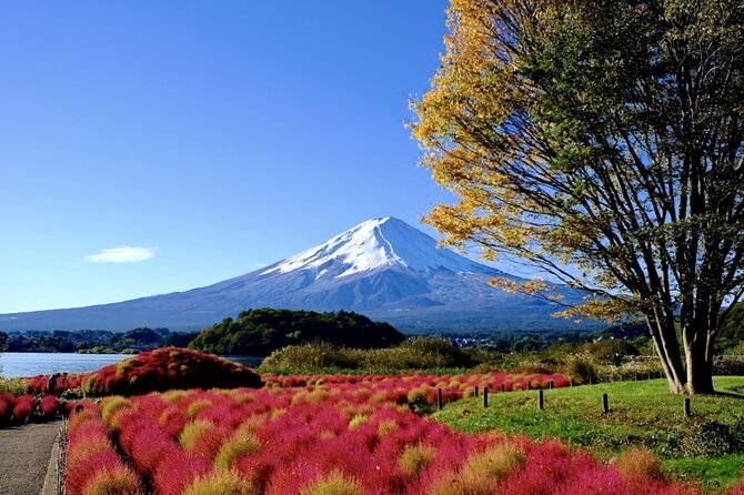 Mount Fuji Full Day Customized Private Tour with English Guide - The climb to Mount Fuji 5th Station