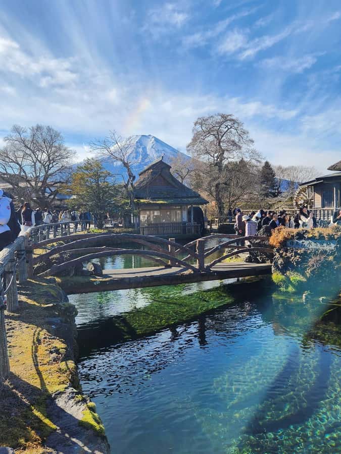 Mount Fuji Full-Day Private Sightseeing Tour with Guide - Why a Private Fuji Day Makes Sense