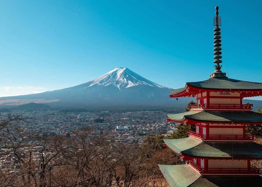 Mount Fuji Full-Day Private Sightseeing Tour with Guide - Pickup From Tokyo and the Long Road West
