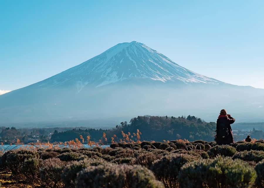 Mount Fuji Full-Day Private Sightseeing Tour with Guide - Chureito Pagoda and the Classic Fuji Photograph
