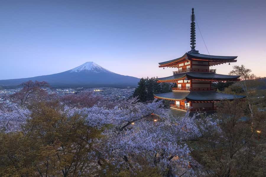 Mount Fuji Full-Day Private Sightseeing Tour with Guide - Saiko Iyashi no Sato Nemba and Shrine Alternatives