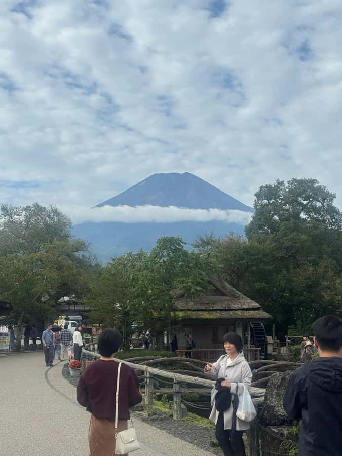 Mount Fuji Full-Day Private Sightseeing Tour with Guide - What the Guides Add to the Day