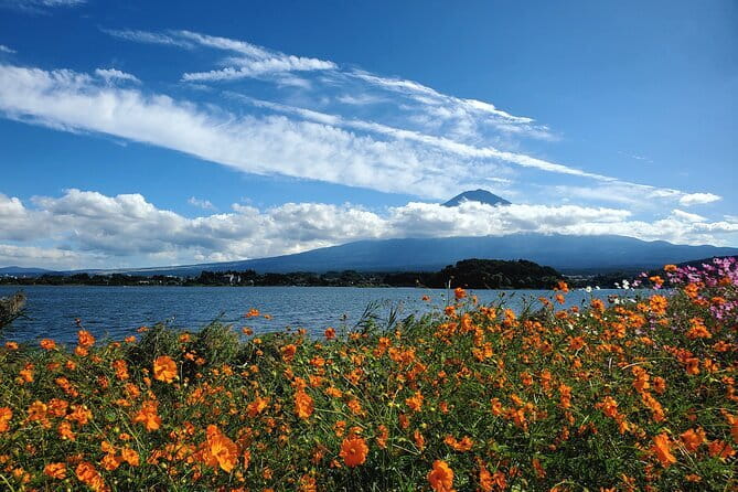 Mount Fuji Full-Day Private Tour from Shimizu Port (Customizable) - Where does Chureito Pagoda fit?