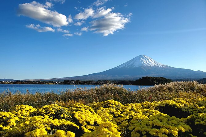 Mount Fuji Full-Day Private Tour from Tokyo (Customizable) - Why A Private Vehicle Helps From Tokyo