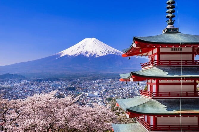 Mount Fuji Full Day Sightseeing Tour from Tokyo - Key points before you book