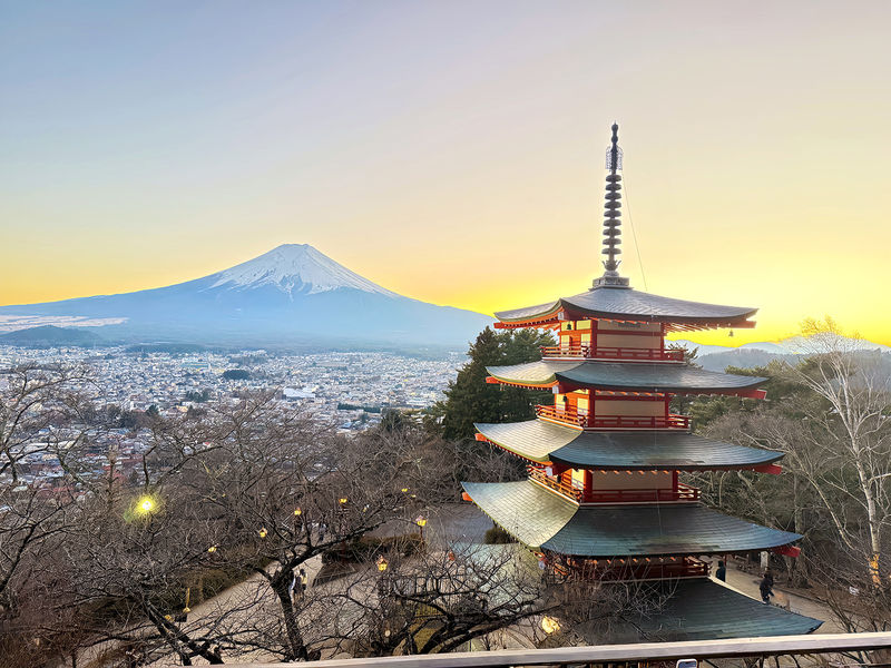 Mount Fuji Full-Day Small Group driver-guide tour (with Pick-up option) - At a glance