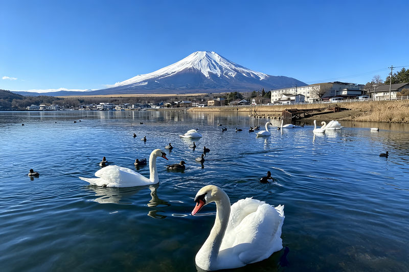 Mount Fuji Full-Day Small Group driver-guide tour (with Pick-up option) - A day built around Fuji’s changing views