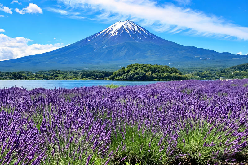 Mount Fuji Full-Day Small Group driver-guide tour (with Pick-up option) - Your guide can make the day easier