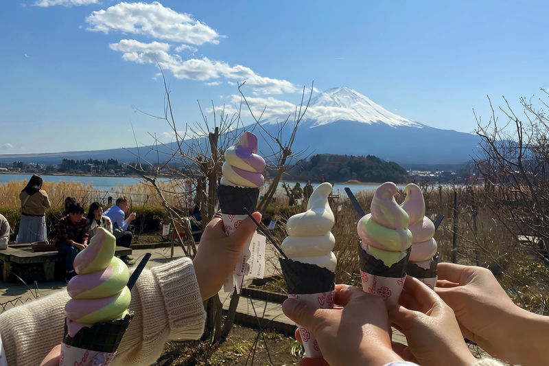Mount Fuji Full-Day Small Group driver-guide tour (with Pick-up option) - Small group, less herding