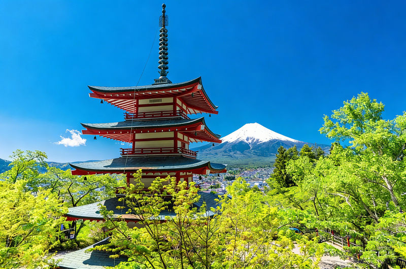 Mount Fuji Full-Day Small Group driver-guide tour (with Pick-up option) - Is $56.85 good value?
