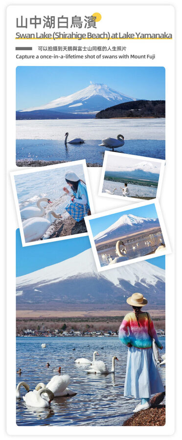 Mount Fuji & Hakone - Lake Ashi Torii Gate, Hakone Shrine, Hakone Pirate Ship, Hakone Ropeway, Owakudani, Lake Yamanaka & Oshino Hakkai Day Trip: Sea, Land, and Air Panoramic Tour from Tokyo - Should you book this Mount Fuji and Hakone tour?