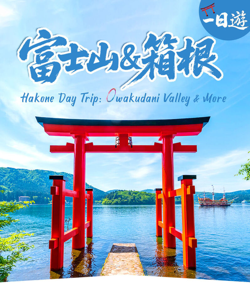 Mount Fuji & Hakone - Lake Ashi Torii Gate, Hakone Shrine, Hakone Pirate Ship, Hakone Ropeway, Owakudani, Lake Yamanaka & Oshino Hakkai Day Trip: Sea, Land, and Air Panoramic Tour from Tokyo - A big day out, with less route planning