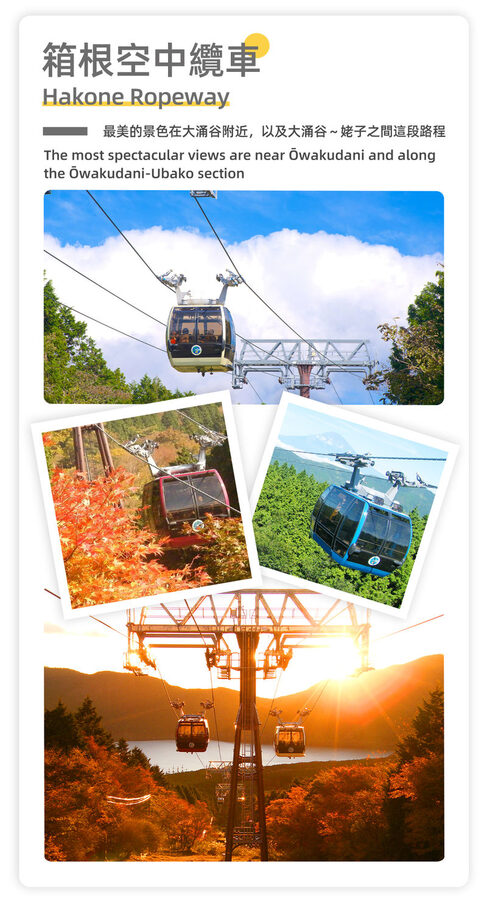 Mount Fuji & Hakone - Lake Ashi Torii Gate, Hakone Shrine, Hakone Pirate Ship, Hakone Ropeway, Owakudani, Lake Yamanaka & Oshino Hakkai Day Trip: Sea, Land, and Air Panoramic Tour from Tokyo - Is the price good value?
