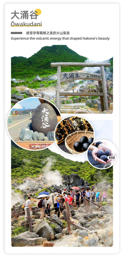 Mount Fuji & Hakone - Lake Ashi Torii Gate, Hakone Shrine, Hakone Pirate Ship, Hakone Ropeway, Owakudani, Lake Yamanaka & Oshino Hakkai Day Trip: Sea, Land, and Air Panoramic Tour from Tokyo - Practical details before you book