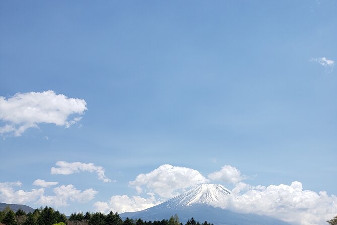 Mount Fuji, Hakone & Lakekawaguchiko Private Group Tour by Car. - Lake Kawaguchiko: choose views or a boat