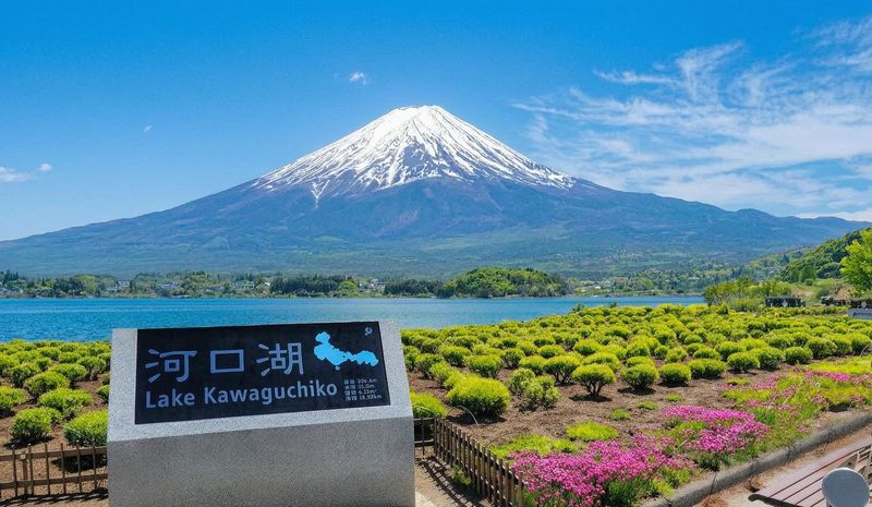 【Mount Fuji Magnificent Scenery Exploration Day Tour】Arakurayama Sengen Park & Kawaguchiko Oishi Park & Oshino Hakkai & INS Famous Lawson & Hikawa Clock Shop (Departing from Tokyo) - Oishi Park and the Kawaguchiko Natural Living Center