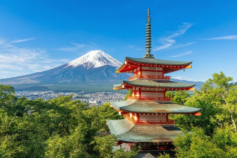 【Mount Fuji Magnificent Scenery Exploration Day Tour】Arakurayama Sengen Park & Kawaguchiko Oishi Park & Oshino Hakkai & INS Famous Lawson & Hikawa Clock Shop (Departing from Tokyo) - Lake Yamanaka and the swans