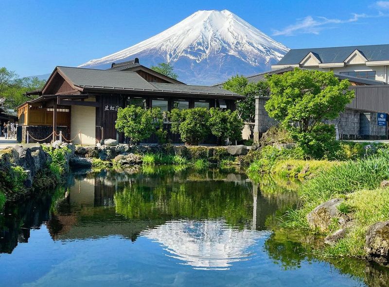【Mount Fuji Magnificent Scenery Exploration Day Tour】Arakurayama Sengen Park & Kawaguchiko Oishi Park & Oshino Hakkai & INS Famous Lawson & Hikawa Clock Shop (Departing from Tokyo) - What the guides and coach add