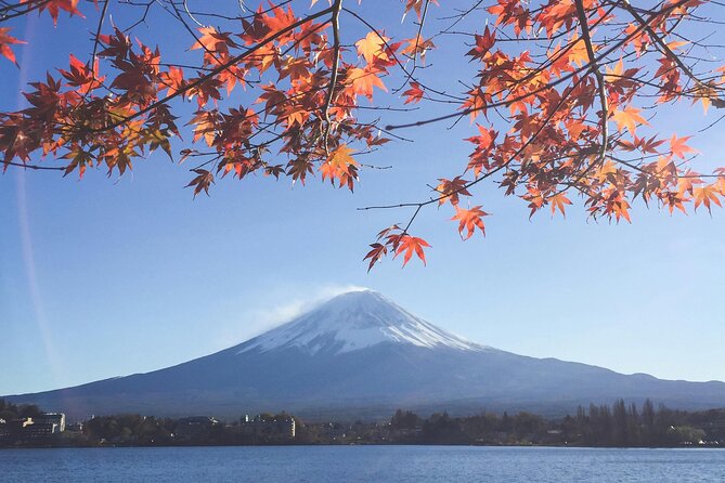 Mount Fuji (Mt. fuji) private tour by car with pickup from Tokyo - Why a private car helps on a Tokyo to Fuji day