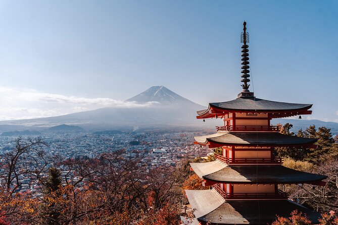 Mount Fuji (Mt. fuji) private tour by car with pickup from Tokyo - Kitaguchi Hongu Fuji Sengen Shrine and its old cedar trees