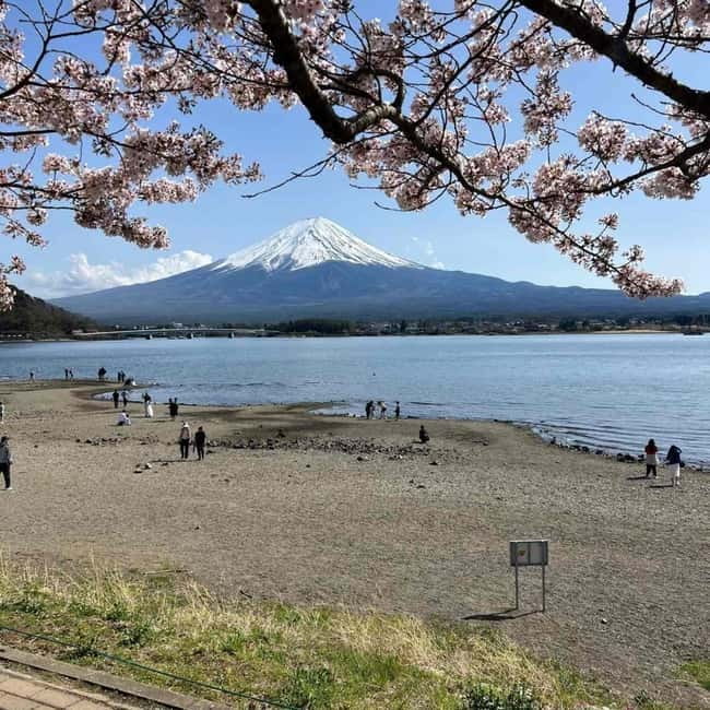 Mount Fuji Private day tour from Tokyo private & Customized - Why a private Fuji tour makes sense from Tokyo