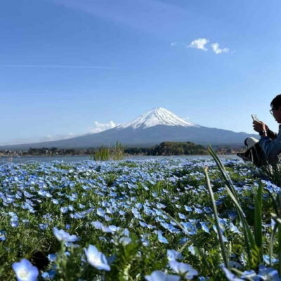 Mount Fuji Private day tour from Tokyo private & Customized