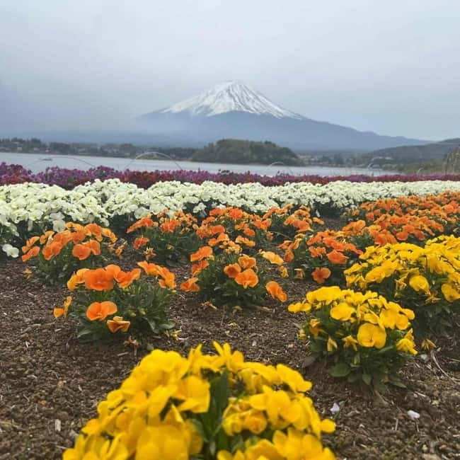 Mount Fuji Private day tour from Tokyo private & Customized - Chureito Pagoda and the famous postcard view
