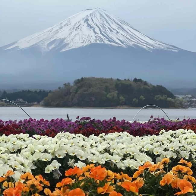 Mount Fuji Private day tour from Tokyo private & Customized - Saiko Iyashi no Sato Nemba: an optional culture-rich addition
