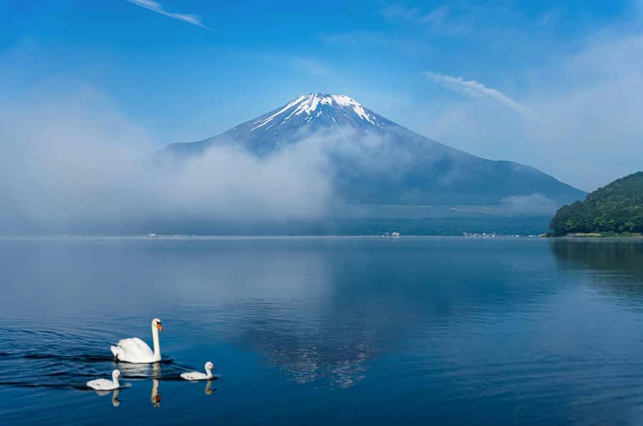 Mount Fuji Private Day Trip With Customizable Itinerary - Hakone’s cable cars, volcanic valley, and lake cruise