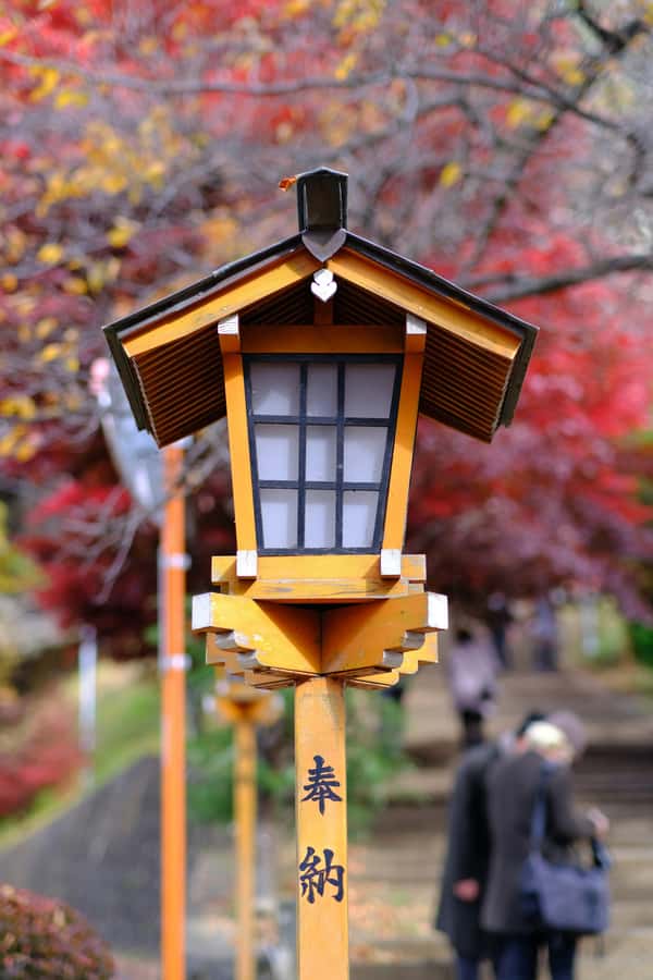 Mount Fuji Private Day Trip With Customizable Itinerary - Who should book this private Fuji day?