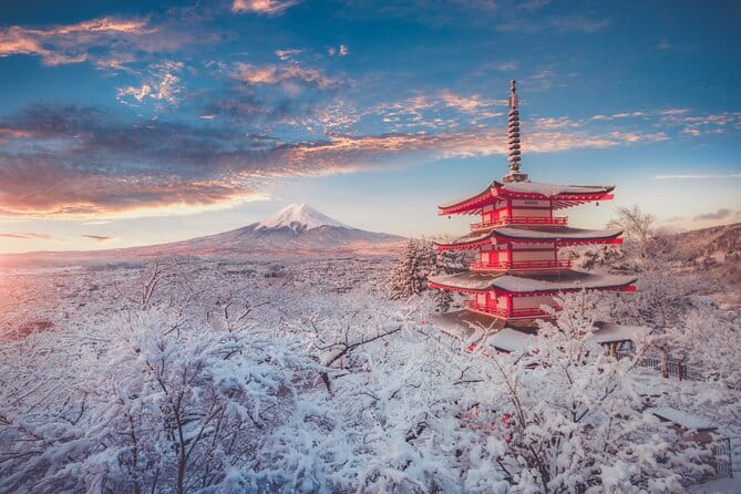 Mount Fuji Sightseeing Private tour w English speaking chauffeur - Oishi Park and the northern shore of Lake Kawaguchi