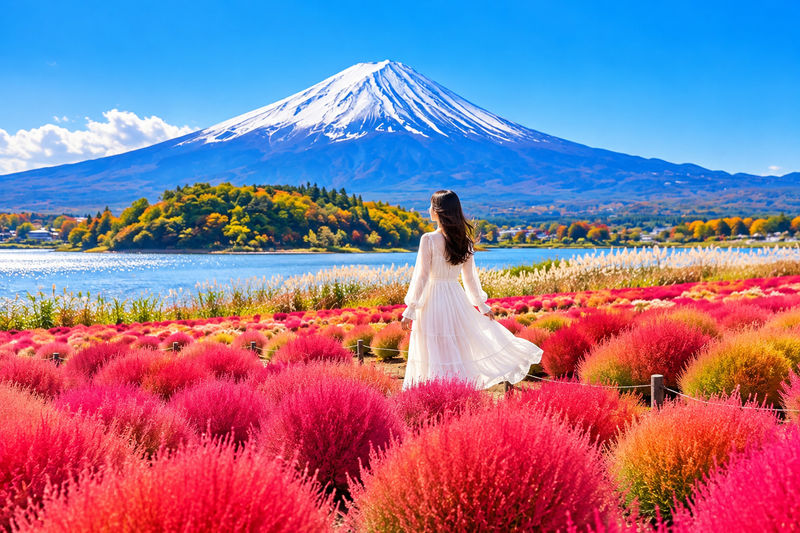 Mount Fuji Six Scenic Spots One-Day Tour: Arakurayama Sengen Park, Hikawa Clock Shop, Oshino Hakkai, Lake Kawaguchiko, Lawson Convenience Store, Lake Yamanakako Swan Feeding (Departing from Tokyo/Shinjuku) - Six stops, six different Fuji views