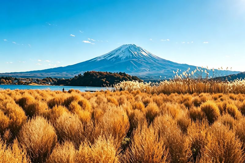 Mount Fuji Six Scenic Spots One-Day Tour: Arakurayama Sengen Park, Hikawa Clock Shop, Oshino Hakkai, Lake Kawaguchiko, Lawson Convenience Store, Lake Yamanakako Swan Feeding (Departing from Tokyo/Shinjuku) - Oshino Hakkai: clear water and a village pause