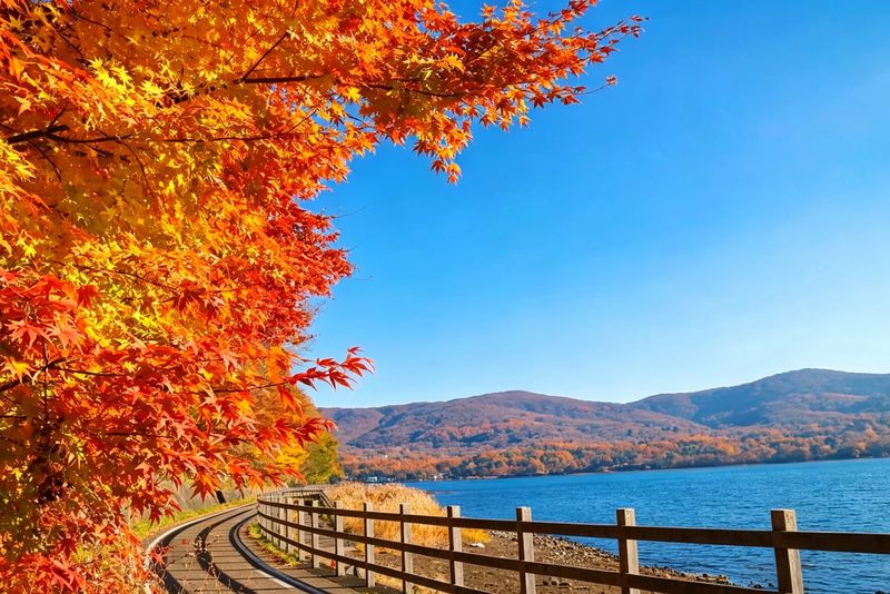 Mount Fuji Six Scenic Spots One-Day Tour: Arakurayama Sengen Park, Hikawa Clock Shop, Oshino Hakkai, Lake Kawaguchiko, Lawson Convenience Store, Lake Yamanakako Swan Feeding (Departing from Tokyo/Shinjuku) - Hikawa Clock Shop: a street with a Fuji vanishing point