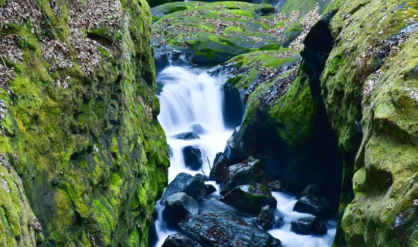 Mt. Aso & Takachiho Gorge Tour with Optional Boat Ride - Kusasenri grasslands offer a welcome pause