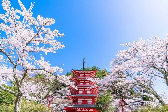 Mt. Fuji 5th, Oshino Hakkai, Onsen Full-Day Trip From Tokyo - The big choice: Konohananoyu onsen or Gotemba outlets