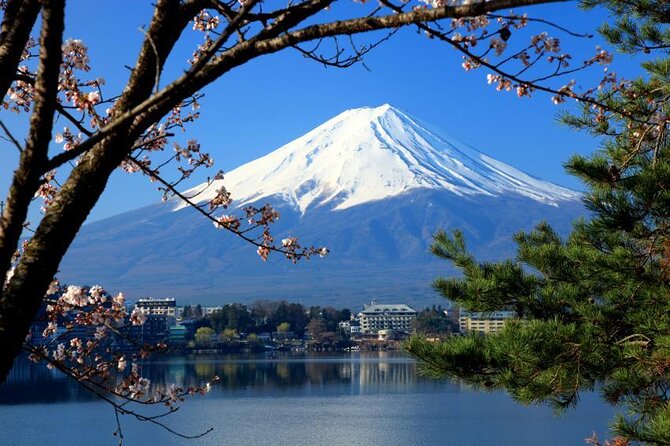 Mt Fuji and Hakone 1-Day Bus Tour Return by Bullet Train - Why this Tokyo day trip makes sense
