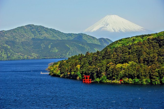 Mt Fuji and Hakone 1-Day Bus Tour Return by Bus - Buffet lunch at the foot of Fuji