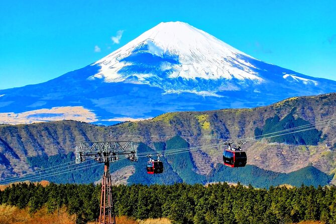 Mt Fuji and Hakone 1-Day Bus Tour Return by Bus - Odawara or Shinjuku: the return matters