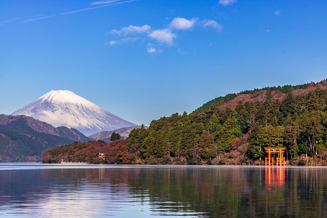 Mt. Fuji and Hakone Day Trip From Tokyo with Bullet Train Option - Lunch: useful convenience, mixed expectations